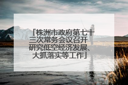株洲市政府第七十三次常务会议召开 研究低空经济发展、大抓落实等工作